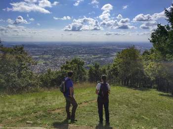 Monterosso%2C+Maresana%2C+i+boschi+dietro+Bergamo